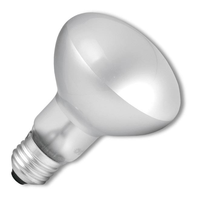 Lâmpada industrial E14/40W/230V
