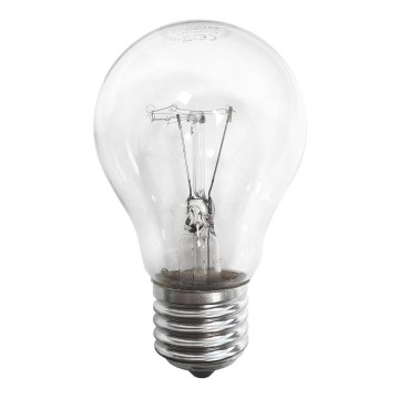Lâmpada industrial E27/100W/230V 2700K