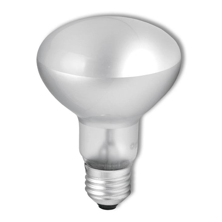 Lâmpada industrial para holofote R63 E27/40W/230V 2700K