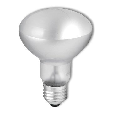 Lâmpada industrial para holofote R63 E27/60W/230V 2700K
