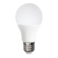 Lâmpada LED A60 E27/12W/230V 6500K - Aigostar