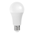 Lâmpada LED A60 E27/21W/230V 3000K - Aigostar