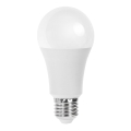 Lâmpada LED A60 E27/21W/230V 6500K - Aigostar