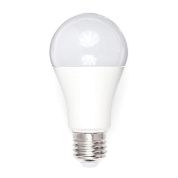 Lâmpada LED A80 E27/18W/230V 3000K
