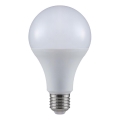 Lâmpada LED A80 E27/20W/230V 3000K