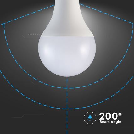 Lâmpada LED A80 E27/20W/230V 6500K
