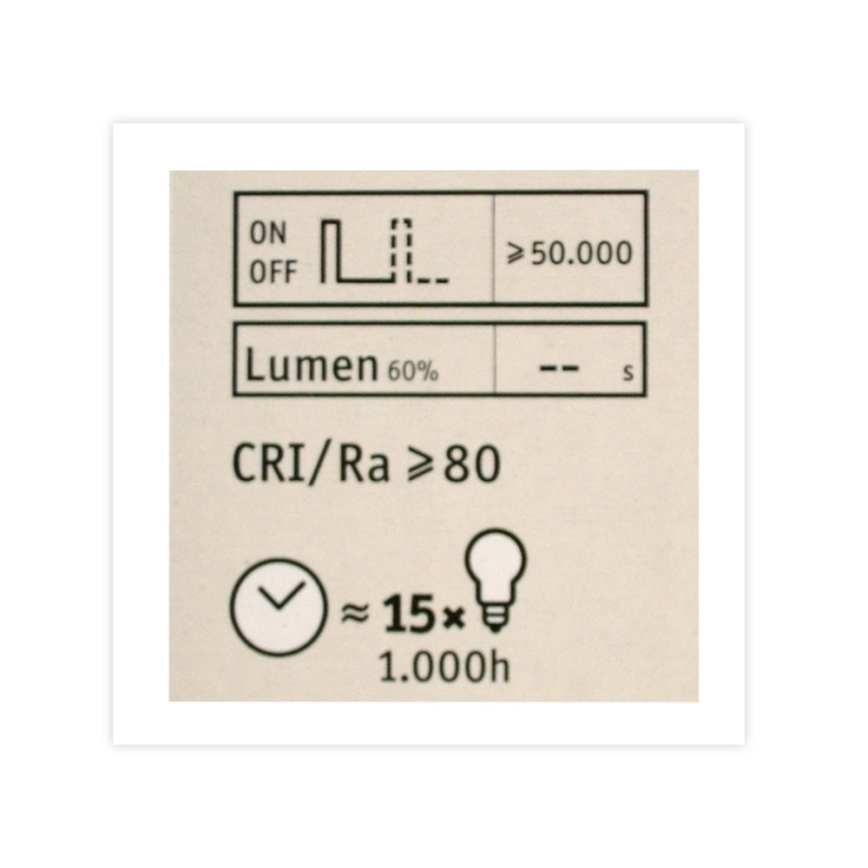 Lâmpada LED com regulação CLASSIC G125 E27/4,5W/230V 2500K - Paulmann 28770