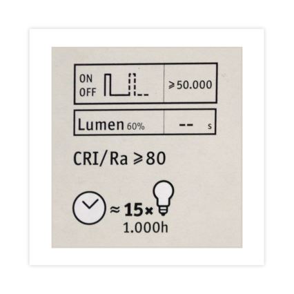 Lâmpada LED com regulação CLASSIC G125 E27/4,5W/230V 2600K - Paulmann 28742