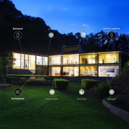 Lâmpada LED com regulação E14/6,5W/230V 2700-6500K Wi-Fi - WiZ