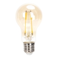 Lâmpada LED com regulação FILAMENT A60 E27/6W/230V 2200K - Aigostar