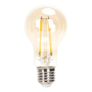 Lâmpada LED com regulação FILAMENT A60 E27/6W/230V 2200K - Aigostar