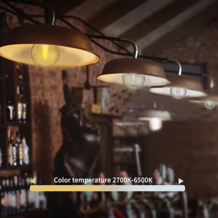 Lâmpada LED com regulação FILAMENT G45 E27/4,5W/230V 2700-6500K Wi-Fi - Aigostar