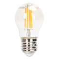 Lâmpada LED com regulação FILAMENT G45 E27/4W/230V 2200K - Aigostar