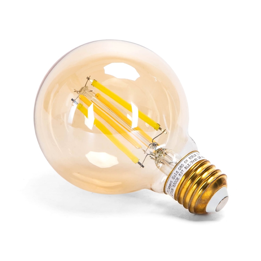Lâmpada LED com regulação FILAMENT MESH Inteligente G80 E27/6W/230V 2700-6500K - Aigostar