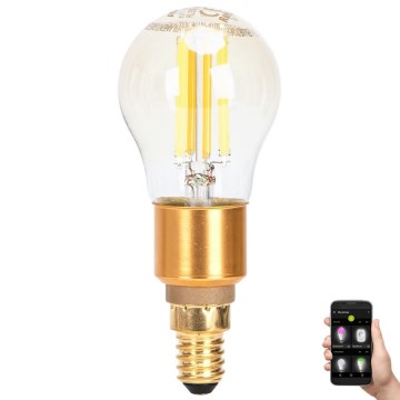 Lâmpada LED com regulação FILAMENT MESH Inteligente G45 E14/4,5W/230V 2700-6500K - Aigostar