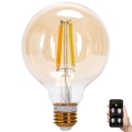 Lâmpada LED com regulação FILAMENT MESH Inteligente G95 E27/6W/230V 2700-6500K - Aigostar