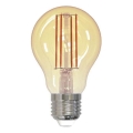 Lâmpada LED com regulação FILAMENT VINTAGE A60 E27/12W/230V 2000K