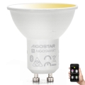 Lâmpada LED com regulação GU10/6,5W/230V 2700-6500K - Aigostar
