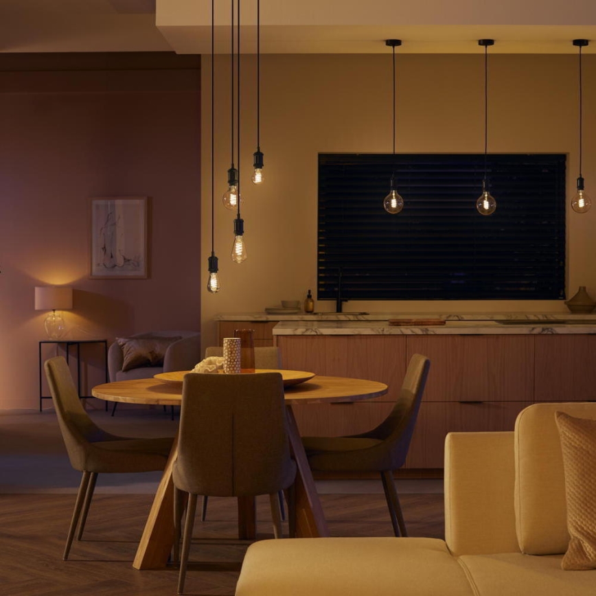 Lâmpada LED com regulação Philips Hue WHITE AMBIANCE ST72 E27/7W/230V 2200-4500K