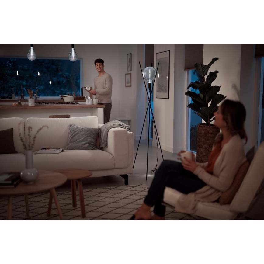 Lâmpada LED com regulação SMOKY VINTAGE Philips E27/6,5W/230V 4000K