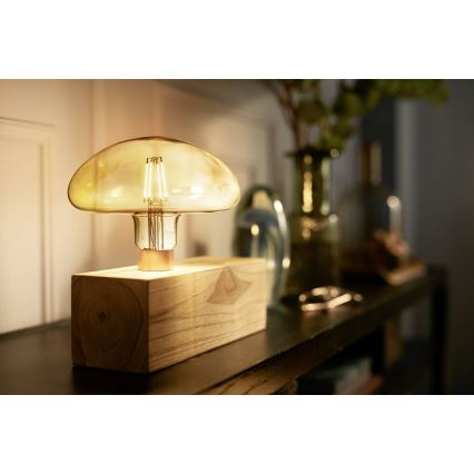 Lâmpada LED com regulação VINTAGE Philips E27/5W/230V 2000K