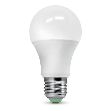 Lâmpada LED com sensor de crepúsculo ECOLINE A60 E27/9W/230V 3000K -  Brilagi