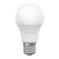 Lâmpada LED ECOLINE A60 E27/15W/230V 6500K - Brilagi