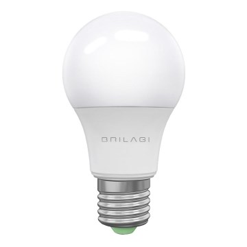 Lâmpada LED ECOLINE A60 E27/15W/230V 6500K - Brilagi