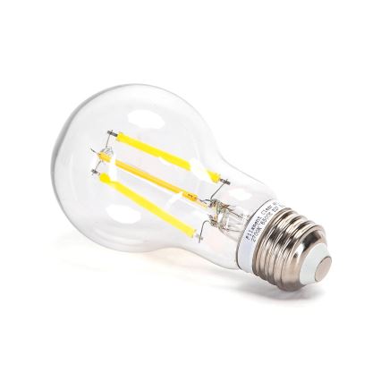 Lâmpada LED com regulação FILAMENT MESH Inteligente A60 E27/6W/230V 2700-6500K - Aigostar