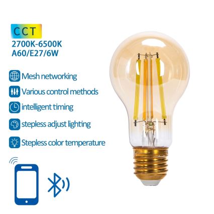 Lâmpada LED com regulação FILAMENT MESH Inteligente A60 E27/6W/230V 2700-6500K - Aigostar