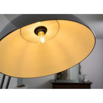 Lâmpada LED FILAMENT A60 E27 LED/7W/230V 2700K