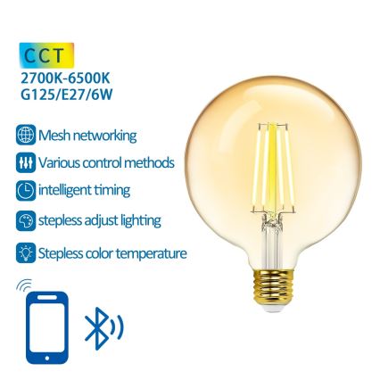 Lâmpada LED com regulação FILAMENT MESH Inteligente G125 E27/6W/230V 2700-6500K - Aigostar