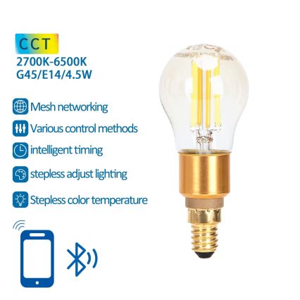 Lâmpada LED com regulação FILAMENT MESH Inteligente G45 E14/4,5W/230V 2700-6500K - Aigostar