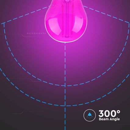 Lâmpada LED FILAMENT G45 E27/2W/230V rosa