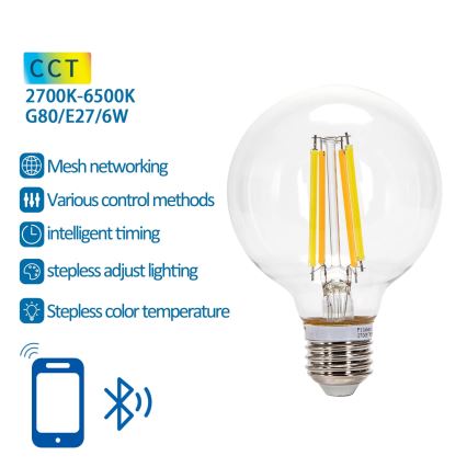 Lâmpada LED com regulação FILAMENT MESH Inteligente G80 E27/6W/230V 2700-6500K - Aigostar