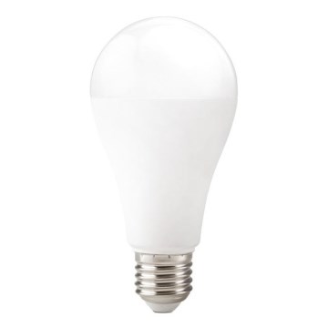Lâmpada LED GS E27/22W/230V 6500K