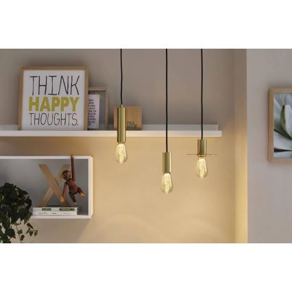 Lâmpada LED INNER ST64 E27/3,5W/230V 1800K - Paulmann 28885