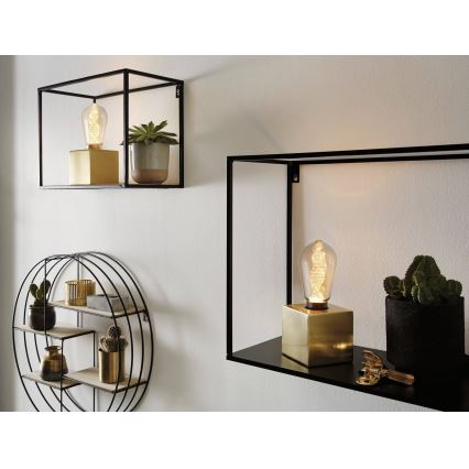 Lâmpada LED INNER ST64 E27/3,5W/230V 1800K - Paulmann 28885