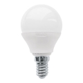 Lâmpada LED P45 E14/3W/230V 3000K - Eglo 10819