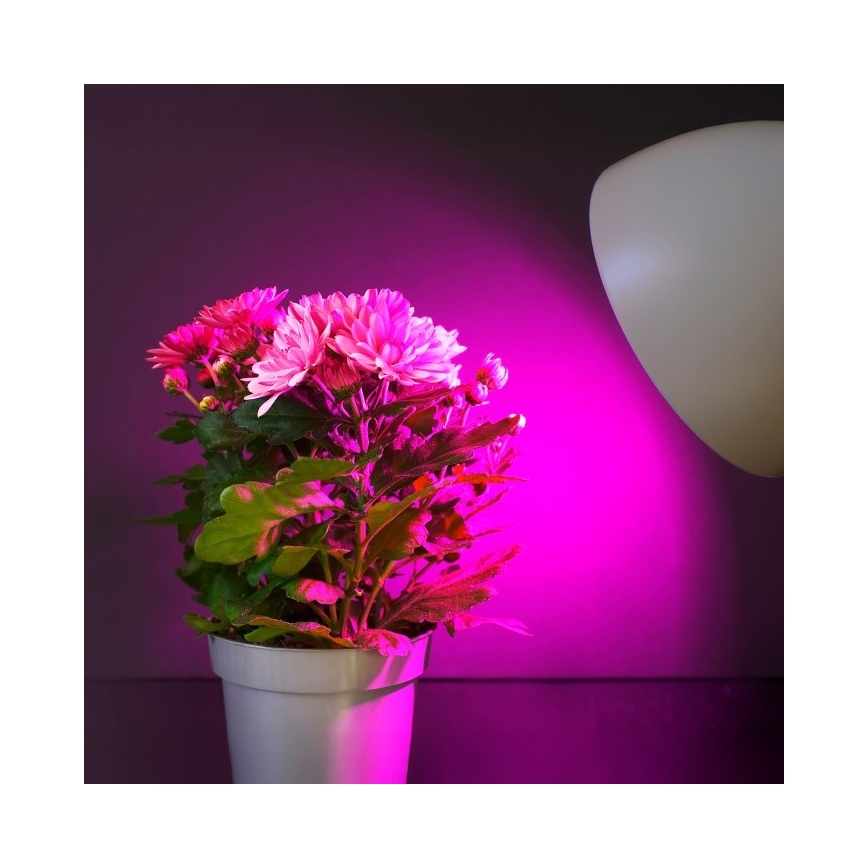 Lâmpada LED para crescimento de plantas PLANTY E27/11W/230V 1200K branco