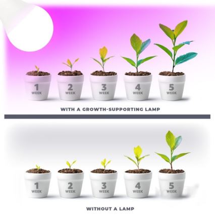 Lâmpada LED para crescimento de plantas PLANTY E27/11W/230V 1200K branco
