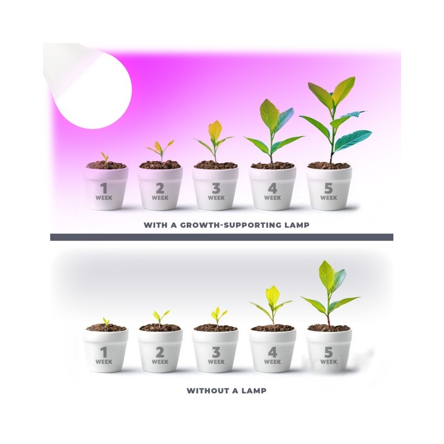 Lâmpada LED para crescimento de plantas PLANTY E27/11W/230V 1200K branco