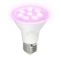Lâmpada LED para crescimento de plantas PLANTY E27/7W/230V 1200K branco