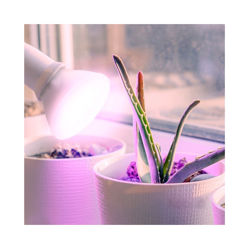 Lâmpada LED para crescimento de plantas PLANTY E27/7W/230V 1200K branco