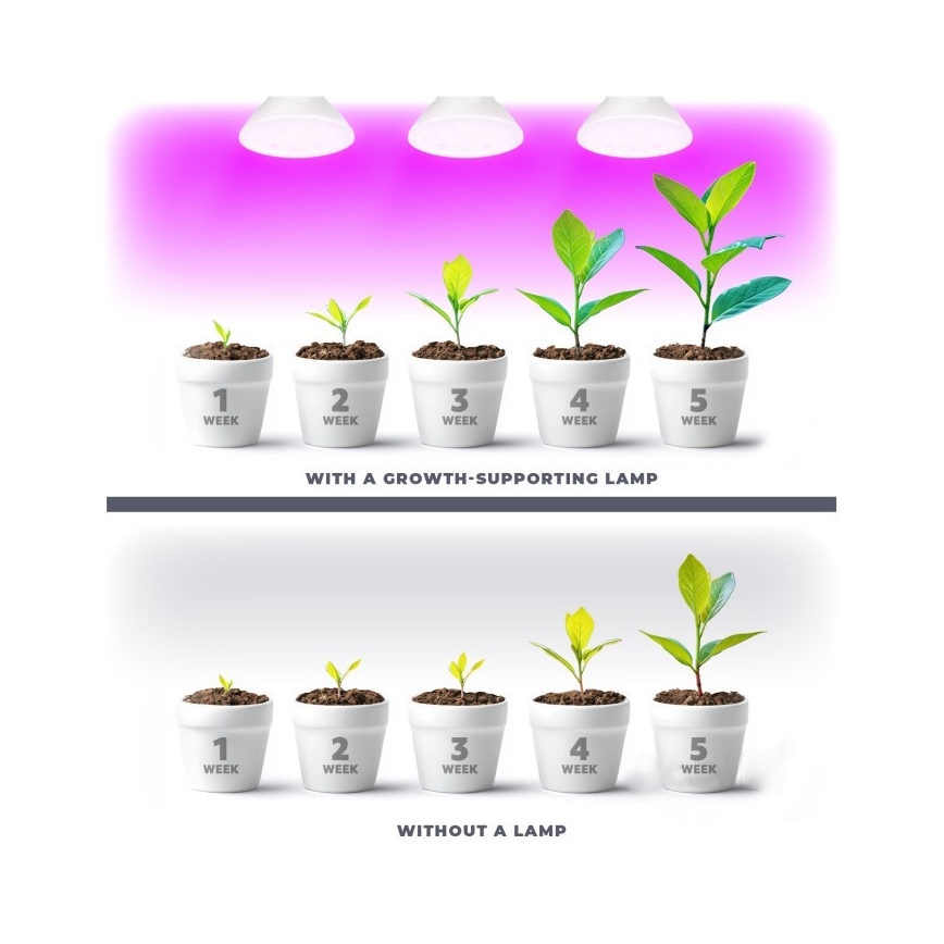 Lâmpada LED para crescimento de plantas PLANTY E27/7W/230V 1200K branco