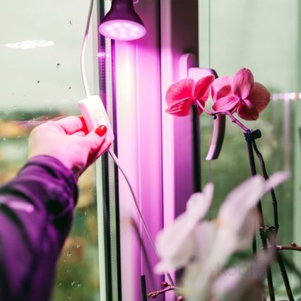 Lâmpada LED para crescimento de plantas PLANTY E27/7W/230V 1200K preto