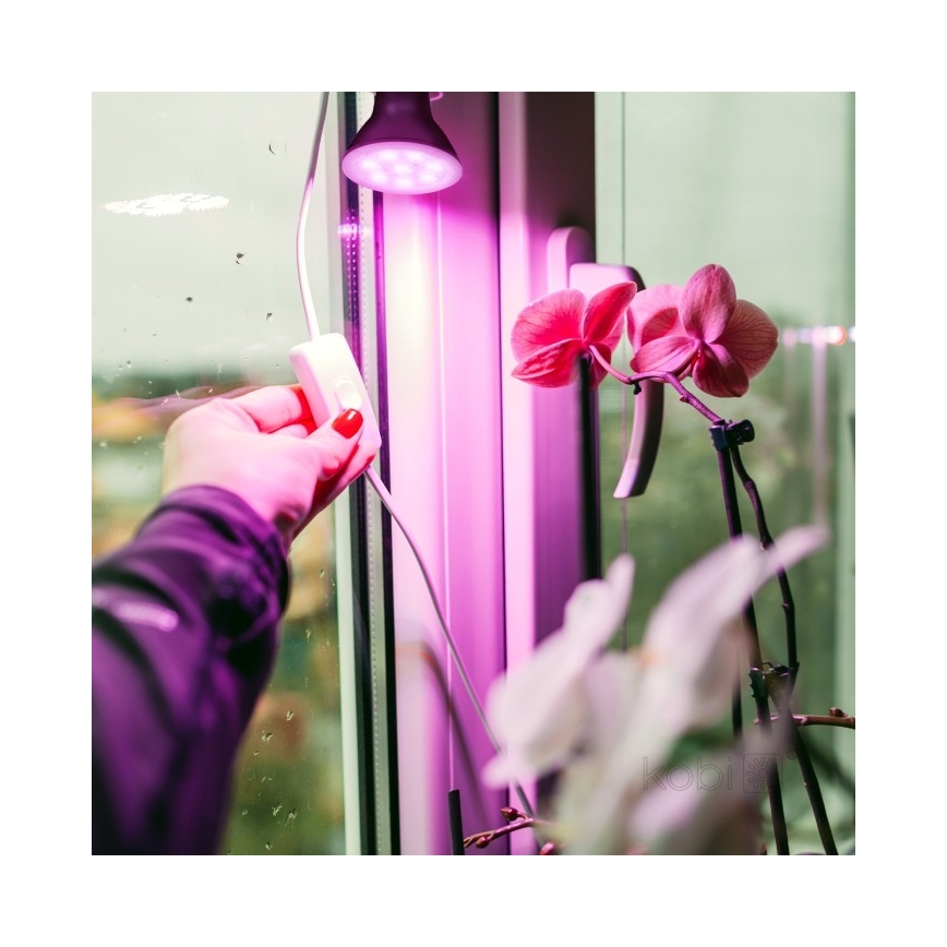 Lâmpada LED para crescimento de plantas PLANTY E27/7W/230V 1200K preto
