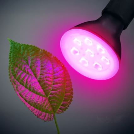 Lâmpada LED para crescimento de plantas PLANTY E27/7W/230V 1200K preto