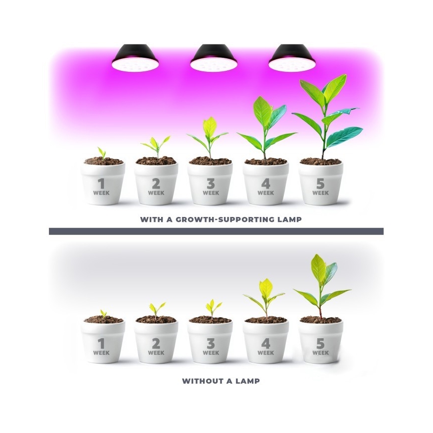 Lâmpada LED para crescimento de plantas PLANTY E27/7W/230V 1200K preto