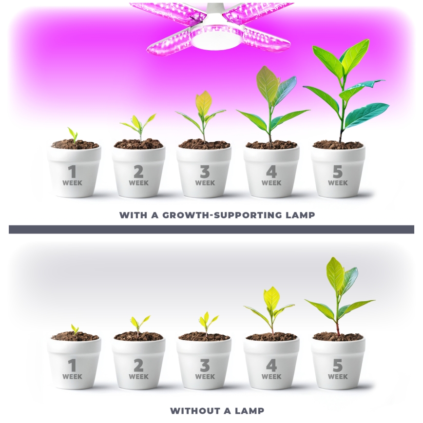 Lâmpada LED para crescimento de plantas VITABLOOM E27/40W/230V 1200K - Brilagi